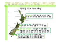 뉴질랜드의 와인-13
