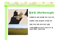 뉴질랜드의 와인-20