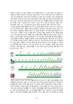 [스포츠] 축구와 자본주의- 축구와 자본주의를 중심으로-10