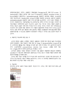 [약리학] 코카인-3