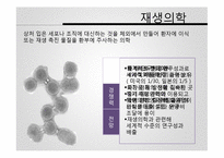 재생의학에서의 양막-3