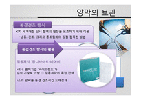 재생의학에서의 양막-7