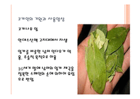 [약리학] 코카인-12