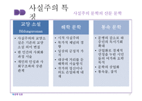 [독일문학] 사실주의-17
