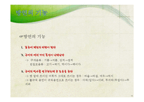 방언의 대한 고찰-17