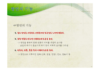 방언의 대한 고찰-18