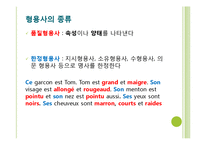 [프랑스문법] ADJECTIF 형용사-2