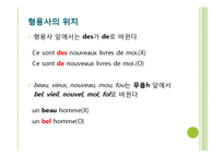 [프랑스문법] ADJECTIF 형용사-9