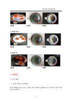 [식품공학] 당근건조에 따른 물성변화-11