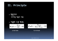 [식품공학] 마늘의 열풍건조 -열풍건조를 통한 마늘의 수분함량 변화와 색차 변화 비교-6