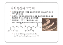 DIOXIN 다이옥신 레포트-11