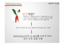 [식품공학] 당근의 열풍건조 -전처리 시료에 따른 당근의 건조 전,후 특성 비교-3
