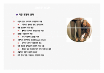 물류정보론 유통정보시스템 사례 발표자료-6