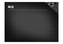 정도전의 불씨잡변 발표레포트-2