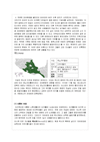 [관광학] 중남미 문화와 관광지 조사-20