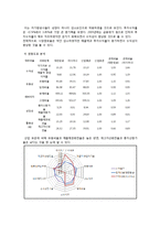 [경영분석] 대한항공 재무제표, 비율, 기업가치와 신용등급 분석-13