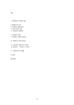 [광고학] 국제광고연구-17