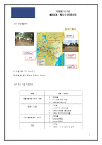 [국제관계] 국제개발협력과 해외자원봉사-케냐 식수지원사업 중심으로-8