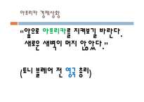 [국제경제] 남아프리카공화국 경제 연구-6