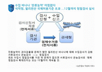 [해외시장론] 수입통관 보고서(통관 및 관세)-20