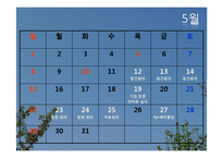 [조직구조론] 코마스 인터렉티브 기업실사 보고서-5