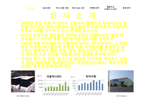 [조직행위론] HJC(홍진)의 미국진출 성공 마케팅 전략 분석-3