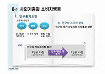 [소비자행동론] 관광 소비자행동의 환경적 요인-인구통계적 요인과 사회계층-2