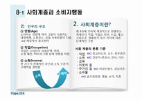 [소비자행동론] 관광 소비자행동의 환경적 요인-인구통계적 요인과 사회계층-3