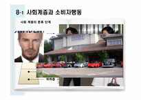 [소비자행동론] 관광 소비자행동의 환경적 요인-인구통계적 요인과 사회계층-4