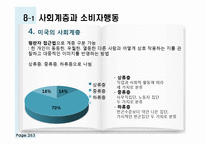 [소비자행동론] 관광 소비자행동의 환경적 요인-인구통계적 요인과 사회계층-6