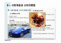 [소비자행동론] 관광 소비자행동의 환경적 요인-인구통계적 요인과 사회계층-8