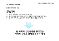 [소비자행동론] 관광 소비자행동의 환경적 요인-문화와 소비자행동-4