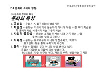[소비자행동론] 관광 소비자행동의 환경적 요인-문화와 소비자행동-5