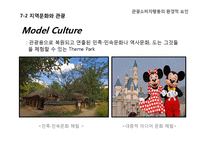 [소비자행동론] 관광 소비자행동의 환경적 요인-문화와 소비자행동-19