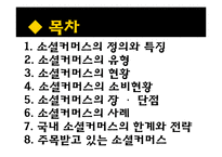 [소비자행동론] 소셜커머스와 소비문화-2