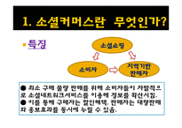 [소비자행동론] 소셜커머스와 소비문화-4