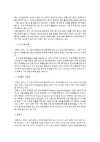 [프랑스 문화] 프로방스와 알자스 지방의 역사와 문화재-19