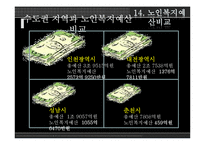 [지방행정론] 춘천시 복지정책-노인복지정책을 중심으로-17
