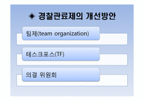 [행정조지론] 경찰 조직 구조의 문제점-8