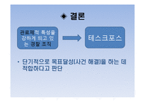 [행정조지론] 경찰 조직 구조의 문제점-13