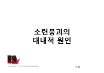 [역사학] 러시아의 공산혁명과 소련의 붕괴-17