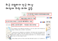 [국제정치] 소말리아 해적과 내전-2