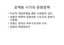 [중국정치] 중국의 문화정책-3