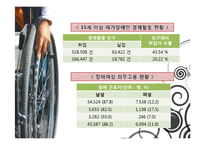 [여성복지] 장애여성의 현황, 사회문제 및 해결과제와 전망-14