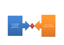 [언어학] 언어-사고-현실의 관계-8