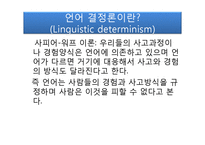 [언어학] 언어-사고-현실의 관계-9
