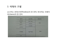 [언어학] 언어-사고-현실의 관계-14