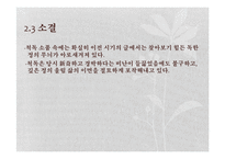 [국문학] 척독소품의 운치와 묘미-예술성과 일상성을 중심으로-13