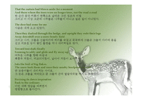 [영미문학] 테드 휴즈의 시 분석-Roe Deer, The Thought-Fox(영문)-5