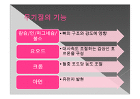 [영양학] 무기질(Mineral)-칼슘과 골다공증-7